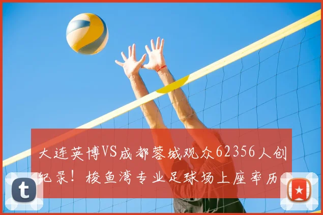 大连英博VS成都蓉城观众62356人创纪录！梭鱼湾专业足球场上座率历史第一解析