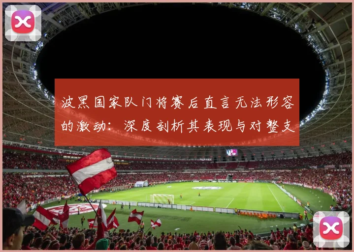 波黑国家队门将赛后直言无法形容的激动：深度剖析其表现与对整支球队的称赞