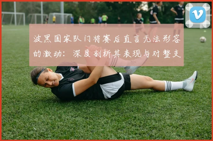 波黑国家队门将赛后直言无法形容的激动：深度剖析其表现与对整支球队的称赞